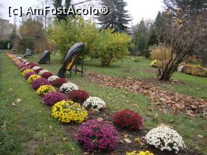 [P05] Niște floricele se încăpățânau încă să reziste, pentru a-i încânta pe vizitatorii Grădinii Botanice!  » foto by Floryn81
 - 
<span class="allrVoted glyphicon glyphicon-heart hidden" id="av832393"></span>
<a class="m-l-10 hidden" id="sv832393" onclick="voting_Foto_DelVot(,832393,19622)" role="button">șterge vot <span class="glyphicon glyphicon-remove"></span></a>
<a id="v9832393" class=" c-red"  onclick="voting_Foto_SetVot(832393)" role="button"><span class="glyphicon glyphicon-heart-empty"></span> <b>LIKE</b> = Votează poza</a> <img class="hidden"  id="f832393W9" src="/imagini/loader.gif" border="0" /><span class="AjErrMes hidden" id="e832393ErM"></span>