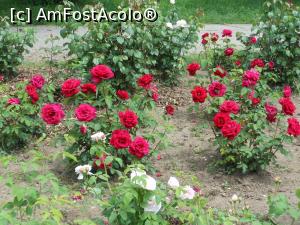 [P27]  -- <small>// FĂRĂ DESCRIERE</small> » foto by iulianic
 - 
<span class="allrVoted glyphicon glyphicon-heart hidden" id="av1367395"></span>
<a class="m-l-10 hidden" id="sv1367395" onclick="voting_Foto_DelVot(,1367395,19622)" role="button">șterge vot <span class="glyphicon glyphicon-remove"></span></a>
<a id="v91367395" class=" c-red"  onclick="voting_Foto_SetVot(1367395)" role="button"><span class="glyphicon glyphicon-heart-empty"></span> <b>LIKE</b> = Votează poza</a> <img class="hidden"  id="f1367395W9" src="/imagini/loader.gif" border="0" /><span class="AjErrMes hidden" id="e1367395ErM"></span>