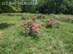 [P39]  -- <small>// FĂRĂ DESCRIERE</small> » foto by iulianic
 - 
<span class="allrVoted glyphicon glyphicon-heart hidden" id="av1367407"></span>
<a class="m-l-10 hidden" id="sv1367407" onclick="voting_Foto_DelVot(,1367407,19622)" role="button">șterge vot <span class="glyphicon glyphicon-remove"></span></a>
<a id="v91367407" class=" c-red"  onclick="voting_Foto_SetVot(1367407)" role="button"><span class="glyphicon glyphicon-heart-empty"></span> <b>LIKE</b> = Votează poza</a> <img class="hidden"  id="f1367407W9" src="/imagini/loader.gif" border="0" /><span class="AjErrMes hidden" id="e1367407ErM"></span>