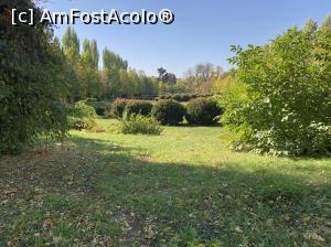 [P20] Gradina italiana » foto by Dan&Ema
 - 
<span class="allrVoted glyphicon glyphicon-heart hidden" id="av1022210"></span>
<a class="m-l-10 hidden" id="sv1022210" onclick="voting_Foto_DelVot(,1022210,19622)" role="button">șterge vot <span class="glyphicon glyphicon-remove"></span></a>
<a id="v91022210" class=" c-red"  onclick="voting_Foto_SetVot(1022210)" role="button"><span class="glyphicon glyphicon-heart-empty"></span> <b>LIKE</b> = Votează poza</a> <img class="hidden"  id="f1022210W9" src="/imagini/loader.gif" border="0" /><span class="AjErrMes hidden" id="e1022210ErM"></span>