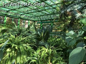 [P32] ferigi tropicale » foto by Dan&Ema
 - 
<span class="allrVoted glyphicon glyphicon-heart hidden" id="av1022222"></span>
<a class="m-l-10 hidden" id="sv1022222" onclick="voting_Foto_DelVot(,1022222,19622)" role="button">șterge vot <span class="glyphicon glyphicon-remove"></span></a>
<a id="v91022222" class=" c-red"  onclick="voting_Foto_SetVot(1022222)" role="button"><span class="glyphicon glyphicon-heart-empty"></span> <b>LIKE</b> = Votează poza</a> <img class="hidden"  id="f1022222W9" src="/imagini/loader.gif" border="0" /><span class="AjErrMes hidden" id="e1022222ErM"></span>