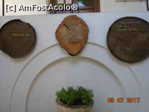 [P05] Exponate realizate din lemnul arborelui de fier, în holul de la intrare » foto by Mitica49
 - 
<span class="allrVoted glyphicon glyphicon-heart hidden" id="av965232"></span>
<a class="m-l-10 hidden" id="sv965232" onclick="voting_Foto_DelVot(,965232,19622)" role="button">șterge vot <span class="glyphicon glyphicon-remove"></span></a>
<a id="v9965232" class=" c-red"  onclick="voting_Foto_SetVot(965232)" role="button"><span class="glyphicon glyphicon-heart-empty"></span> <b>LIKE</b> = Votează poza</a> <img class="hidden"  id="f965232W9" src="/imagini/loader.gif" border="0" /><span class="AjErrMes hidden" id="e965232ErM"></span>
