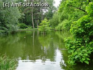 [P20] Lacul - Grădina Botanică „Dimitrie Brândză” din București. » foto by tata123 🔱
 - 
<span class="allrVoted glyphicon glyphicon-heart hidden" id="av1165302"></span>
<a class="m-l-10 hidden" id="sv1165302" onclick="voting_Foto_DelVot(,1165302,19622)" role="button">șterge vot <span class="glyphicon glyphicon-remove"></span></a>
<a id="v91165302" class=" c-red"  onclick="voting_Foto_SetVot(1165302)" role="button"><span class="glyphicon glyphicon-heart-empty"></span> <b>LIKE</b> = Votează poza</a> <img class="hidden"  id="f1165302W9" src="/imagini/loader.gif" border="0" /><span class="AjErrMes hidden" id="e1165302ErM"></span>