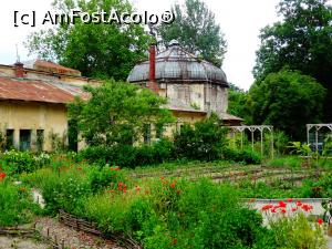 [P21] Serele Vechi - Grădina Botanică „Dimitrie Brândză” din București. » foto by tata123 🔱
 - 
<span class="allrVoted glyphicon glyphicon-heart hidden" id="av1165303"></span>
<a class="m-l-10 hidden" id="sv1165303" onclick="voting_Foto_DelVot(,1165303,19622)" role="button">șterge vot <span class="glyphicon glyphicon-remove"></span></a>
<a id="v91165303" class=" c-red"  onclick="voting_Foto_SetVot(1165303)" role="button"><span class="glyphicon glyphicon-heart-empty"></span> <b>LIKE</b> = Votează poza</a> <img class="hidden"  id="f1165303W9" src="/imagini/loader.gif" border="0" /><span class="AjErrMes hidden" id="e1165303ErM"></span>