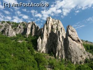 [P03] Peretii de stanca din stanga potecii.  » foto by vulpe mihaela
 - 
<span class="allrVoted glyphicon glyphicon-heart hidden" id="av1078397"></span>
<a class="m-l-10 hidden" id="sv1078397" onclick="voting_Foto_DelVot(,1078397,19642)" role="button">șterge vot <span class="glyphicon glyphicon-remove"></span></a>
<a id="v91078397" class=" c-red"  onclick="voting_Foto_SetVot(1078397)" role="button"><span class="glyphicon glyphicon-heart-empty"></span> <b>LIKE</b> = Votează poza</a> <img class="hidden"  id="f1078397W9" src="/imagini/loader.gif" border="0" /><span class="AjErrMes hidden" id="e1078397ErM"></span>