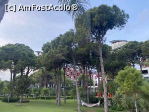 [P36] Hotel Trendy Lara - zona hotelului si hamacele in care sa te relaxezi » foto by mishu
 - 
<span class="allrVoted glyphicon glyphicon-heart hidden" id="av1333784"></span>
<a class="m-l-10 hidden" id="sv1333784" onclick="voting_Foto_DelVot(,1333784,19659)" role="button">șterge vot <span class="glyphicon glyphicon-remove"></span></a>
<a id="v91333784" class=" c-red"  onclick="voting_Foto_SetVot(1333784)" role="button"><span class="glyphicon glyphicon-heart-empty"></span> <b>LIKE</b> = Votează poza</a> <img class="hidden"  id="f1333784W9" src="/imagini/loader.gif" border="0" /><span class="AjErrMes hidden" id="e1333784ErM"></span>