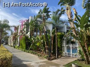 [P42] Hotel Trendy Lara - zona garden » foto by mishu
 - 
<span class="allrVoted glyphicon glyphicon-heart hidden" id="av1333790"></span>
<a class="m-l-10 hidden" id="sv1333790" onclick="voting_Foto_DelVot(,1333790,19659)" role="button">șterge vot <span class="glyphicon glyphicon-remove"></span></a>
<a id="v91333790" class=" c-red"  onclick="voting_Foto_SetVot(1333790)" role="button"><span class="glyphicon glyphicon-heart-empty"></span> <b>LIKE</b> = Votează poza</a> <img class="hidden"  id="f1333790W9" src="/imagini/loader.gif" border="0" /><span class="AjErrMes hidden" id="e1333790ErM"></span>