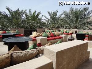 [P05] pe acoperis...  » foto by iorgulescua
 - 
<span class="allrVoted glyphicon glyphicon-heart hidden" id="av692373"></span>
<a class="m-l-10 hidden" id="sv692373" onclick="voting_Foto_DelVot(,692373,19668)" role="button">șterge vot <span class="glyphicon glyphicon-remove"></span></a>
<a id="v9692373" class=" c-red"  onclick="voting_Foto_SetVot(692373)" role="button"><span class="glyphicon glyphicon-heart-empty"></span> <b>LIKE</b> = Votează poza</a> <img class="hidden"  id="f692373W9" src="/imagini/loader.gif" border="0" /><span class="AjErrMes hidden" id="e692373ErM"></span>