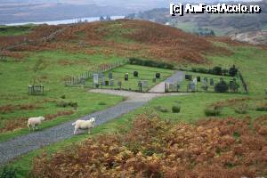 [P18] Isle of Mull... și nu era nimeni pe drum...  » foto by ariciu*
 - 
<span class="allrVoted glyphicon glyphicon-heart hidden" id="av692502"></span>
<a class="m-l-10 hidden" id="sv692502" onclick="voting_Foto_DelVot(,692502,19669)" role="button">șterge vot <span class="glyphicon glyphicon-remove"></span></a>
<a id="v9692502" class=" c-red"  onclick="voting_Foto_SetVot(692502)" role="button"><span class="glyphicon glyphicon-heart-empty"></span> <b>LIKE</b> = Votează poza</a> <img class="hidden"  id="f692502W9" src="/imagini/loader.gif" border="0" /><span class="AjErrMes hidden" id="e692502ErM"></span>
