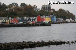 [P19] Imaginea iconică a capitalei Tobermory » foto by ariciu*
 - 
<span class="allrVoted glyphicon glyphicon-heart hidden" id="av692504"></span>
<a class="m-l-10 hidden" id="sv692504" onclick="voting_Foto_DelVot(,692504,19669)" role="button">șterge vot <span class="glyphicon glyphicon-remove"></span></a>
<a id="v9692504" class=" c-red"  onclick="voting_Foto_SetVot(692504)" role="button"><span class="glyphicon glyphicon-heart-empty"></span> <b>LIKE</b> = Votează poza</a> <img class="hidden"  id="f692504W9" src="/imagini/loader.gif" border="0" /><span class="AjErrMes hidden" id="e692504ErM"></span>