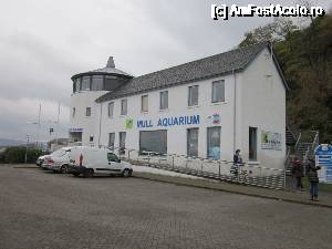 [P23] Acvariul din Tobermory » foto by ariciu*
 - 
<span class="allrVoted glyphicon glyphicon-heart hidden" id="av692512"></span>
<a class="m-l-10 hidden" id="sv692512" onclick="voting_Foto_DelVot(,692512,19669)" role="button">șterge vot <span class="glyphicon glyphicon-remove"></span></a>
<a id="v9692512" class=" c-red"  onclick="voting_Foto_SetVot(692512)" role="button"><span class="glyphicon glyphicon-heart-empty"></span> <b>LIKE</b> = Votează poza</a> <img class="hidden"  id="f692512W9" src="/imagini/loader.gif" border="0" /><span class="AjErrMes hidden" id="e692512ErM"></span>
