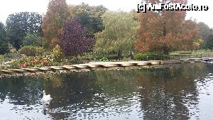 [P17] Culori de toamnă în Ferma de Păstrăv din satul Bibury, ținutul Cotswolds, Anglia.  » foto by traian.leuca †
 - 
<span class="allrVoted glyphicon glyphicon-heart hidden" id="av693340"></span>
<a class="m-l-10 hidden" id="sv693340" onclick="voting_Foto_DelVot(,693340,19672)" role="button">șterge vot <span class="glyphicon glyphicon-remove"></span></a>
<a id="v9693340" class=" c-red"  onclick="voting_Foto_SetVot(693340)" role="button"><span class="glyphicon glyphicon-heart-empty"></span> <b>LIKE</b> = Votează poza</a> <img class="hidden"  id="f693340W9" src="/imagini/loader.gif" border="0" /><span class="AjErrMes hidden" id="e693340ErM"></span>