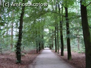 [P30] Plimbare prin Veluwe , » foto by mireille
 - 
<span class="allrVoted glyphicon glyphicon-heart hidden" id="av1159423"></span>
<a class="m-l-10 hidden" id="sv1159423" onclick="voting_Foto_DelVot(,1159423,19676)" role="button">șterge vot <span class="glyphicon glyphicon-remove"></span></a>
<a id="v91159423" class=" c-red"  onclick="voting_Foto_SetVot(1159423)" role="button"><span class="glyphicon glyphicon-heart-empty"></span> <b>LIKE</b> = Votează poza</a> <img class="hidden"  id="f1159423W9" src="/imagini/loader.gif" border="0" /><span class="AjErrMes hidden" id="e1159423ErM"></span>