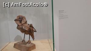 [P36] Picasso-Bufnita » foto by mireille
 - 
<span class="allrVoted glyphicon glyphicon-heart hidden" id="av1159429"></span>
<a class="m-l-10 hidden" id="sv1159429" onclick="voting_Foto_DelVot(,1159429,19676)" role="button">șterge vot <span class="glyphicon glyphicon-remove"></span></a>
<a id="v91159429" class=" c-red"  onclick="voting_Foto_SetVot(1159429)" role="button"><span class="glyphicon glyphicon-heart-empty"></span> <b>LIKE</b> = Votează poza</a> <img class="hidden"  id="f1159429W9" src="/imagini/loader.gif" border="0" /><span class="AjErrMes hidden" id="e1159429ErM"></span>