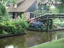 [P10] hortensiile acestea, pe care le-am intalnit in mod frecvent in Giethoorn, sunt minunate !! » foto by a.sr*
 - 
<span class="allrVoted glyphicon glyphicon-heart hidden" id="av256627"></span>
<a class="m-l-10 hidden" id="sv256627" onclick="voting_Foto_DelVot(,256627,19677)" role="button">șterge vot <span class="glyphicon glyphicon-remove"></span></a>
<a id="v9256627" class=" c-red"  onclick="voting_Foto_SetVot(256627)" role="button"><span class="glyphicon glyphicon-heart-empty"></span> <b>LIKE</b> = Votează poza</a> <img class="hidden"  id="f256627W9" src="/imagini/loader.gif" border="0" /><span class="AjErrMes hidden" id="e256627ErM"></span>