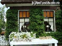 [P23] ceramica locala » foto by mireille
 - 
<span class="allrVoted glyphicon glyphicon-heart hidden" id="av413815"></span>
<a class="m-l-10 hidden" id="sv413815" onclick="voting_Foto_DelVot(,413815,19677)" role="button">șterge vot <span class="glyphicon glyphicon-remove"></span></a>
<a id="v9413815" class=" c-red"  onclick="voting_Foto_SetVot(413815)" role="button"><span class="glyphicon glyphicon-heart-empty"></span> <b>LIKE</b> = Votează poza</a> <img class="hidden"  id="f413815W9" src="/imagini/loader.gif" border="0" /><span class="AjErrMes hidden" id="e413815ErM"></span>