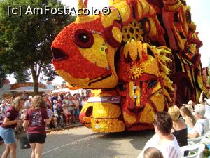 [P10] Dalii portocalii si galbene -Dromatique -grupul Forza » foto by mireille
 - 
<span class="allrVoted glyphicon glyphicon-heart hidden" id="av845864"></span>
<a class="m-l-10 hidden" id="sv845864" onclick="voting_Foto_DelVot(,845864,19677)" role="button">șterge vot <span class="glyphicon glyphicon-remove"></span></a>
<a id="v9845864" class=" c-red"  onclick="voting_Foto_SetVot(845864)" role="button"><span class="glyphicon glyphicon-heart-empty"></span> <b>LIKE</b> = Votează poza</a> <img class="hidden"  id="f845864W9" src="/imagini/loader.gif" border="0" /><span class="AjErrMes hidden" id="e845864ErM"></span>