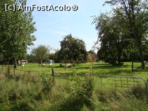 [P39] intrarea in sat -peisaj » foto by mireille
 - 
<span class="allrVoted glyphicon glyphicon-heart hidden" id="av845901"></span>
<a class="m-l-10 hidden" id="sv845901" onclick="voting_Foto_DelVot(,845901,19677)" role="button">șterge vot <span class="glyphicon glyphicon-remove"></span></a>
<a id="v9845901" class=" c-red"  onclick="voting_Foto_SetVot(845901)" role="button"><span class="glyphicon glyphicon-heart-empty"></span> <b>LIKE</b> = Votează poza</a> <img class="hidden"  id="f845901W9" src="/imagini/loader.gif" border="0" /><span class="AjErrMes hidden" id="e845901ErM"></span>