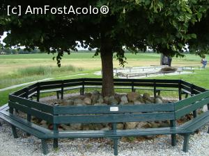 [P13] Centrul satului Middlebuurt - sunt expuse 30 de vestigii în jurul muzeului polderului.  » foto by mireille
 - 
<span class="allrVoted glyphicon glyphicon-heart hidden" id="av929622"></span>
<a class="m-l-10 hidden" id="sv929622" onclick="voting_Foto_DelVot(,929622,19677)" role="button">șterge vot <span class="glyphicon glyphicon-remove"></span></a>
<a id="v9929622" class=" c-red"  onclick="voting_Foto_SetVot(929622)" role="button"><span class="glyphicon glyphicon-heart-empty"></span> <b>LIKE</b> = Votează poza</a> <img class="hidden"  id="f929622W9" src="/imagini/loader.gif" border="0" /><span class="AjErrMes hidden" id="e929622ErM"></span>