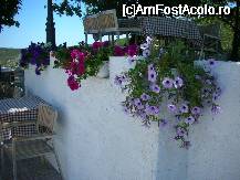 [P16] Flori peste tot pe terase » foto by ionescunic
 - 
<span class="allrVoted glyphicon glyphicon-heart hidden" id="av38023"></span>
<a class="m-l-10 hidden" id="sv38023" onclick="voting_Foto_DelVot(,38023,19692)" role="button">șterge vot <span class="glyphicon glyphicon-remove"></span></a>
<a id="v938023" class=" c-red"  onclick="voting_Foto_SetVot(38023)" role="button"><span class="glyphicon glyphicon-heart-empty"></span> <b>LIKE</b> = Votează poza</a> <img class="hidden"  id="f38023W9" src="/imagini/loader.gif" border="0" /><span class="AjErrMes hidden" id="e38023ErM"></span>