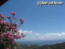 [P04] un leandru roz si aromat incadreaza imaginea de la Panorama Kalamitsi. » foto by sandu.53
 - 
<span class="allrVoted glyphicon glyphicon-heart hidden" id="av136330"></span>
<a class="m-l-10 hidden" id="sv136330" onclick="voting_Foto_DelVot(,136330,19692)" role="button">șterge vot <span class="glyphicon glyphicon-remove"></span></a>
<a id="v9136330" class=" c-red"  onclick="voting_Foto_SetVot(136330)" role="button"><span class="glyphicon glyphicon-heart-empty"></span> <b>LIKE</b> = Votează poza</a> <img class="hidden"  id="f136330W9" src="/imagini/loader.gif" border="0" /><span class="AjErrMes hidden" id="e136330ErM"></span>