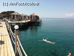 [P10]  -- <small>// FĂRĂ DESCRIERE</small> » foto by calingolea
 - 
<span class="allrVoted glyphicon glyphicon-heart hidden" id="av980953"></span>
<a class="m-l-10 hidden" id="sv980953" onclick="voting_Foto_DelVot(,980953,19722)" role="button">șterge vot <span class="glyphicon glyphicon-remove"></span></a>
<a id="v9980953" class=" c-red"  onclick="voting_Foto_SetVot(980953)" role="button"><span class="glyphicon glyphicon-heart-empty"></span> <b>LIKE</b> = Votează poza</a> <img class="hidden"  id="f980953W9" src="/imagini/loader.gif" border="0" /><span class="AjErrMes hidden" id="e980953ErM"></span>