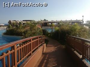 [P29]  -- <small>// FĂRĂ DESCRIERE</small> » foto by calingolea
 - 
<span class="allrVoted glyphicon glyphicon-heart hidden" id="av980977"></span>
<a class="m-l-10 hidden" id="sv980977" onclick="voting_Foto_DelVot(,980977,19722)" role="button">șterge vot <span class="glyphicon glyphicon-remove"></span></a>
<a id="v9980977" class=" c-red"  onclick="voting_Foto_SetVot(980977)" role="button"><span class="glyphicon glyphicon-heart-empty"></span> <b>LIKE</b> = Votează poza</a> <img class="hidden"  id="f980977W9" src="/imagini/loader.gif" border="0" /><span class="AjErrMes hidden" id="e980977ErM"></span>