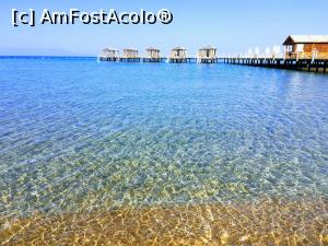 [P05] apa marii Egee...  » foto by calingolea
 - 
<span class="allrVoted glyphicon glyphicon-heart hidden" id="av980946"></span>
<a class="m-l-10 hidden" id="sv980946" onclick="voting_Foto_DelVot(,980946,19722)" role="button">șterge vot <span class="glyphicon glyphicon-remove"></span></a>
<a id="v9980946" class=" c-red"  onclick="voting_Foto_SetVot(980946)" role="button"><span class="glyphicon glyphicon-heart-empty"></span> <b>LIKE</b> = Votează poza</a> <img class="hidden"  id="f980946W9" src="/imagini/loader.gif" border="0" /><span class="AjErrMes hidden" id="e980946ErM"></span>