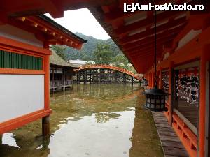 [P22] Miyajima, Altarul Itsukushima, Sori-Bashi, Pod Arcuit, în lateral dreapta Coridorul de Vest ornat cu felinare » foto by mprofeanu
 - 
<span class="allrVoted glyphicon glyphicon-heart hidden" id="av696761"></span>
<a class="m-l-10 hidden" id="sv696761" onclick="voting_Foto_DelVot(,696761,19733)" role="button">șterge vot <span class="glyphicon glyphicon-remove"></span></a>
<a id="v9696761" class=" c-red"  onclick="voting_Foto_SetVot(696761)" role="button"><span class="glyphicon glyphicon-heart-empty"></span> <b>LIKE</b> = Votează poza</a> <img class="hidden"  id="f696761W9" src="/imagini/loader.gif" border="0" /><span class="AjErrMes hidden" id="e696761ErM"></span>