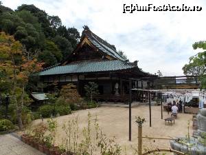 [P30] Miyajima, Templul Daisho-in, Sala Kannon, vedere de ansamblu » foto by mprofeanu
 - 
<span class="allrVoted glyphicon glyphicon-heart hidden" id="av696769"></span>
<a class="m-l-10 hidden" id="sv696769" onclick="voting_Foto_DelVot(,696769,19733)" role="button">șterge vot <span class="glyphicon glyphicon-remove"></span></a>
<a id="v9696769" class=" c-red"  onclick="voting_Foto_SetVot(696769)" role="button"><span class="glyphicon glyphicon-heart-empty"></span> <b>LIKE</b> = Votează poza</a> <img class="hidden"  id="f696769W9" src="/imagini/loader.gif" border="0" /><span class="AjErrMes hidden" id="e696769ErM"></span>