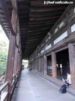 [P76] Miyajima, Sala de o mie de tatami, un loc de odihnă și răcorire » foto by mprofeanu
 - 
<span class="allrVoted glyphicon glyphicon-heart hidden" id="av696852"></span>
<a class="m-l-10 hidden" id="sv696852" onclick="voting_Foto_DelVot(,696852,19733)" role="button">șterge vot <span class="glyphicon glyphicon-remove"></span></a>
<a id="v9696852" class=" c-red"  onclick="voting_Foto_SetVot(696852)" role="button"><span class="glyphicon glyphicon-heart-empty"></span> <b>LIKE</b> = Votează poza</a> <img class="hidden"  id="f696852W9" src="/imagini/loader.gif" border="0" /><span class="AjErrMes hidden" id="e696852ErM"></span>