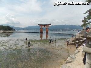 [P78] Miyajima, Altarul Itsukushima, Otorii Gate aproape la reflux » foto by mprofeanu
 - 
<span class="allrVoted glyphicon glyphicon-heart hidden" id="av696855"></span>
<a class="m-l-10 hidden" id="sv696855" onclick="voting_Foto_DelVot(,696855,19733)" role="button">șterge vot <span class="glyphicon glyphicon-remove"></span></a>
<a id="v9696855" class=" c-red"  onclick="voting_Foto_SetVot(696855)" role="button"><span class="glyphicon glyphicon-heart-empty"></span> <b>LIKE</b> = Votează poza</a> <img class="hidden"  id="f696855W9" src="/imagini/loader.gif" border="0" /><span class="AjErrMes hidden" id="e696855ErM"></span>