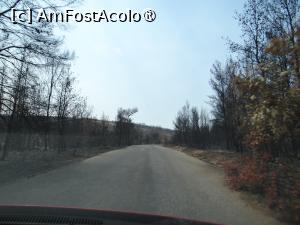 [P05] Attica - zone afectate de incendiile de vegetație » foto by baby eyes
 - 
<span class="allrVoted glyphicon glyphicon-heart hidden" id="av1412744"></span>
<a class="m-l-10 hidden" id="sv1412744" onclick="voting_Foto_DelVot(,1412744,19752)" role="button">șterge vot <span class="glyphicon glyphicon-remove"></span></a>
<a id="v91412744" class=" c-red"  onclick="voting_Foto_SetVot(1412744)" role="button"><span class="glyphicon glyphicon-heart-empty"></span> <b>LIKE</b> = Votează poza</a> <img class="hidden"  id="f1412744W9" src="/imagini/loader.gif" border="0" /><span class="AjErrMes hidden" id="e1412744ErM"></span>