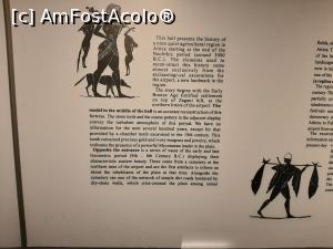 [P24] Expoziția arheologică_9 » foto by adso
 - 
<span class="allrVoted glyphicon glyphicon-heart hidden" id="av1215590"></span>
<a class="m-l-10 hidden" id="sv1215590" onclick="voting_Foto_DelVot(,1215590,19753)" role="button">șterge vot <span class="glyphicon glyphicon-remove"></span></a>
<a id="v91215590" class=" c-red"  onclick="voting_Foto_SetVot(1215590)" role="button"><span class="glyphicon glyphicon-heart-empty"></span> <b>LIKE</b> = Votează poza</a> <img class="hidden"  id="f1215590W9" src="/imagini/loader.gif" border="0" /><span class="AjErrMes hidden" id="e1215590ErM"></span>