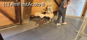 [P27] 27. Între altele, sarea era folosită la tăbăcitul pieilor. » foto by msnd
 - 
<span class="allrVoted glyphicon glyphicon-heart hidden" id="av1503785"></span>
<a class="m-l-10 hidden" id="sv1503785" onclick="voting_Foto_DelVot(,1503785,19760)" role="button">șterge vot <span class="glyphicon glyphicon-remove"></span></a>
<a id="v91503785" class=" c-red"  onclick="voting_Foto_SetVot(1503785)" role="button"><span class="glyphicon glyphicon-heart-empty"></span> <b>LIKE</b> = Votează poza</a> <img class="hidden"  id="f1503785W9" src="/imagini/loader.gif" border="0" /><span class="AjErrMes hidden" id="e1503785ErM"></span>