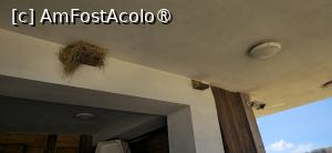 [P39] 39. Cuiburi de rândunele în clădirea celor care au grijă de rezervație. » foto by msnd
 - 
<span class="allrVoted glyphicon glyphicon-heart hidden" id="av1503797"></span>
<a class="m-l-10 hidden" id="sv1503797" onclick="voting_Foto_DelVot(,1503797,19760)" role="button">șterge vot <span class="glyphicon glyphicon-remove"></span></a>
<a id="v91503797" class=" c-red"  onclick="voting_Foto_SetVot(1503797)" role="button"><span class="glyphicon glyphicon-heart-empty"></span> <b>LIKE</b> = Votează poza</a> <img class="hidden"  id="f1503797W9" src="/imagini/loader.gif" border="0" /><span class="AjErrMes hidden" id="e1503797ErM"></span>