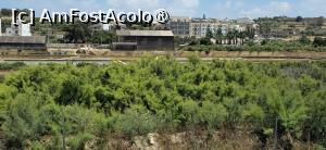 [P05] 05. La acele construcții trebuie să ajungem. » foto by msnd
 - 
<span class="allrVoted glyphicon glyphicon-heart hidden" id="av1503763"></span>
<a class="m-l-10 hidden" id="sv1503763" onclick="voting_Foto_DelVot(,1503763,19760)" role="button">șterge vot <span class="glyphicon glyphicon-remove"></span></a>
<a id="v91503763" class=" c-red"  onclick="voting_Foto_SetVot(1503763)" role="button"><span class="glyphicon glyphicon-heart-empty"></span> <b>LIKE</b> = Votează poza</a> <img class="hidden"  id="f1503763W9" src="/imagini/loader.gif" border="0" /><span class="AjErrMes hidden" id="e1503763ErM"></span>