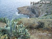 [P05] Cap Sunion - Mare si stanci. » foto by iulianic
 - 
<span class="allrVoted glyphicon glyphicon-heart hidden" id="av227342"></span>
<a class="m-l-10 hidden" id="sv227342" onclick="voting_Foto_DelVot(,227342,19763)" role="button">șterge vot <span class="glyphicon glyphicon-remove"></span></a>
<a id="v9227342" class=" c-red"  onclick="voting_Foto_SetVot(227342)" role="button"><span class="glyphicon glyphicon-heart-empty"></span> <b>LIKE</b> = Votează poza</a> <img class="hidden"  id="f227342W9" src="/imagini/loader.gif" border="0" /><span class="AjErrMes hidden" id="e227342ErM"></span>