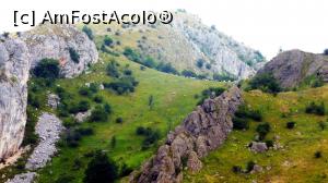 [P27] Marea șa din creasta Piatra Secuiului. Se vede o turmă de capre urcând spre vârful nordic al crestei (vârf numit Colții Trascăului) unde se găsesc și ruinele unei cetăți medievale, singura din Transilvania care a rezistat atacului tătarilor în timpul marii invazii din 1241 » foto by Lucien
 - 
<span class="allrVoted glyphicon glyphicon-heart hidden" id="av892166"></span>
<a class="m-l-10 hidden" id="sv892166" onclick="voting_Foto_DelVot(,892166,19767)" role="button">șterge vot <span class="glyphicon glyphicon-remove"></span></a>
<a id="v9892166" class=" c-red"  onclick="voting_Foto_SetVot(892166)" role="button"><span class="glyphicon glyphicon-heart-empty"></span> <b>LIKE</b> = Votează poza</a> <img class="hidden"  id="f892166W9" src="/imagini/loader.gif" border="0" /><span class="AjErrMes hidden" id="e892166ErM"></span>