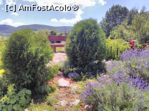 [P19] Conacul Secuilor din Colțești.  » foto by Carmen Ion
 - 
<span class="allrVoted glyphicon glyphicon-heart hidden" id="av875976"></span>
<a class="m-l-10 hidden" id="sv875976" onclick="voting_Foto_DelVot(,875976,19767)" role="button">șterge vot <span class="glyphicon glyphicon-remove"></span></a>
<a id="v9875976" class=" c-red"  onclick="voting_Foto_SetVot(875976)" role="button"><span class="glyphicon glyphicon-heart-empty"></span> <b>LIKE</b> = Votează poza</a> <img class="hidden"  id="f875976W9" src="/imagini/loader.gif" border="0" /><span class="AjErrMes hidden" id="e875976ErM"></span>