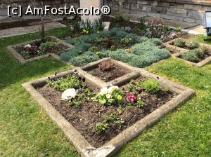 [P46] Manastirea Dealu - curte ingrijita in care primavara isi face aparitia » foto by mishu
 - 
<span class="allrVoted glyphicon glyphicon-heart hidden" id="av773491"></span>
<a class="m-l-10 hidden" id="sv773491" onclick="voting_Foto_DelVot(,773491,19770)" role="button">șterge vot <span class="glyphicon glyphicon-remove"></span></a>
<a id="v9773491" class=" c-red"  onclick="voting_Foto_SetVot(773491)" role="button"><span class="glyphicon glyphicon-heart-empty"></span> <b>LIKE</b> = Votează poza</a> <img class="hidden"  id="f773491W9" src="/imagini/loader.gif" border="0" /><span class="AjErrMes hidden" id="e773491ErM"></span>