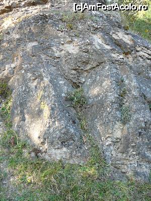 [P12] De la distanţă nu pare a fi cine ştie ce, nu-i aşa?  » foto by Claudiu U.
 - 
<span class="allrVoted glyphicon glyphicon-heart hidden" id="av700222"></span>
<a class="m-l-10 hidden" id="sv700222" onclick="voting_Foto_DelVot(,700222,19774)" role="button">șterge vot <span class="glyphicon glyphicon-remove"></span></a>
<a id="v9700222" class=" c-red"  onclick="voting_Foto_SetVot(700222)" role="button"><span class="glyphicon glyphicon-heart-empty"></span> <b>LIKE</b> = Votează poza</a> <img class="hidden"  id="f700222W9" src="/imagini/loader.gif" border="0" /><span class="AjErrMes hidden" id="e700222ErM"></span>