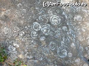 [P13] ... dar de aproape, situaţia se schimbă radical » foto by Claudiu U.
 - 
<span class="allrVoted glyphicon glyphicon-heart hidden" id="av700223"></span>
<a class="m-l-10 hidden" id="sv700223" onclick="voting_Foto_DelVot(,700223,19774)" role="button">șterge vot <span class="glyphicon glyphicon-remove"></span></a>
<a id="v9700223" class=" c-red"  onclick="voting_Foto_SetVot(700223)" role="button"><span class="glyphicon glyphicon-heart-empty"></span> <b>LIKE</b> = Votează poza</a> <img class="hidden"  id="f700223W9" src="/imagini/loader.gif" border="0" /><span class="AjErrMes hidden" id="e700223ErM"></span>