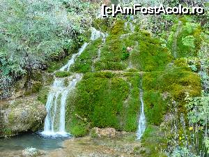 [P04] Alte căderi de apă din aval de cascadă » foto by Claudiu U.
 - 
<span class="allrVoted glyphicon glyphicon-heart hidden" id="av700214"></span>
<a class="m-l-10 hidden" id="sv700214" onclick="voting_Foto_DelVot(,700214,19774)" role="button">șterge vot <span class="glyphicon glyphicon-remove"></span></a>
<a id="v9700214" class=" c-red"  onclick="voting_Foto_SetVot(700214)" role="button"><span class="glyphicon glyphicon-heart-empty"></span> <b>LIKE</b> = Votează poza</a> <img class="hidden"  id="f700214W9" src="/imagini/loader.gif" border="0" /><span class="AjErrMes hidden" id="e700214ErM"></span>