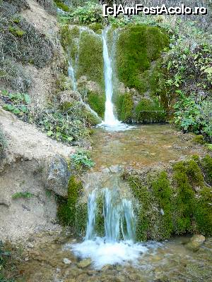 [P09] Tot micile cascade din aval » foto by Claudiu U.
 - 
<span class="allrVoted glyphicon glyphicon-heart hidden" id="av700219"></span>
<a class="m-l-10 hidden" id="sv700219" onclick="voting_Foto_DelVot(,700219,19774)" role="button">șterge vot <span class="glyphicon glyphicon-remove"></span></a>
<a id="v9700219" class=" c-red"  onclick="voting_Foto_SetVot(700219)" role="button"><span class="glyphicon glyphicon-heart-empty"></span> <b>LIKE</b> = Votează poza</a> <img class="hidden"  id="f700219W9" src="/imagini/loader.gif" border="0" /><span class="AjErrMes hidden" id="e700219ErM"></span>