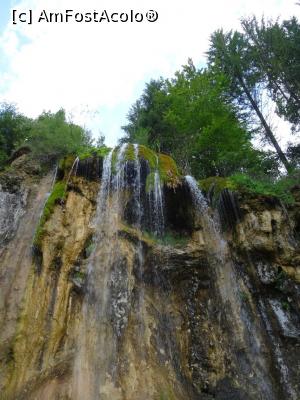 [P11] Perdeaua lichidă împrăștie stropi fini de apă în aer - Cascada Pișoaia.  » foto by tata123 🔱
 - 
<span class="allrVoted glyphicon glyphicon-heart hidden" id="av1121303"></span>
<a class="m-l-10 hidden" id="sv1121303" onclick="voting_Foto_DelVot(,1121303,19774)" role="button">șterge vot <span class="glyphicon glyphicon-remove"></span></a>
<a id="v91121303" class=" c-red"  onclick="voting_Foto_SetVot(1121303)" role="button"><span class="glyphicon glyphicon-heart-empty"></span> <b>LIKE</b> = Votează poza</a> <img class="hidden"  id="f1121303W9" src="/imagini/loader.gif" border="0" /><span class="AjErrMes hidden" id="e1121303ErM"></span>