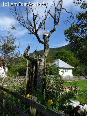[P03] Casele satului Nemeși sunt împrăștiate pe plai.  » foto by tata123 🔱
 - 
<span class="allrVoted glyphicon glyphicon-heart hidden" id="av1121295"></span>
<a class="m-l-10 hidden" id="sv1121295" onclick="voting_Foto_DelVot(,1121295,19774)" role="button">șterge vot <span class="glyphicon glyphicon-remove"></span></a>
<a id="v91121295" class=" c-red"  onclick="voting_Foto_SetVot(1121295)" role="button"><span class="glyphicon glyphicon-heart-empty"></span> <b>LIKE</b> = Votează poza</a> <img class="hidden"  id="f1121295W9" src="/imagini/loader.gif" border="0" /><span class="AjErrMes hidden" id="e1121295ErM"></span>