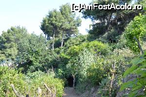 [P22] Simți că ești undeva la pădure » foto by Dabator
 - 
<span class="allrVoted glyphicon glyphicon-heart hidden" id="av701520"></span>
<a class="m-l-10 hidden" id="sv701520" onclick="voting_Foto_DelVot(,701520,19784)" role="button">șterge vot <span class="glyphicon glyphicon-remove"></span></a>
<a id="v9701520" class=" c-red"  onclick="voting_Foto_SetVot(701520)" role="button"><span class="glyphicon glyphicon-heart-empty"></span> <b>LIKE</b> = Votează poza</a> <img class="hidden"  id="f701520W9" src="/imagini/loader.gif" border="0" /><span class="AjErrMes hidden" id="e701520ErM"></span>