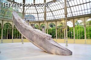 [P11] Museo Nacional Centro de Arte Reina Sofía - Palacio de Cristal. Expoziția temporară „Racheta și Abisul” » foto by Dragoș_MD
 - 
<span class="allrVoted glyphicon glyphicon-heart hidden" id="av761307"></span>
<a class="m-l-10 hidden" id="sv761307" onclick="voting_Foto_DelVot(,761307,19792)" role="button">șterge vot <span class="glyphicon glyphicon-remove"></span></a>
<a id="v9761307" class=" c-red"  onclick="voting_Foto_SetVot(761307)" role="button"><span class="glyphicon glyphicon-heart-empty"></span> <b>LIKE</b> = Votează poza</a> <img class="hidden"  id="f761307W9" src="/imagini/loader.gif" border="0" /><span class="AjErrMes hidden" id="e761307ErM"></span>