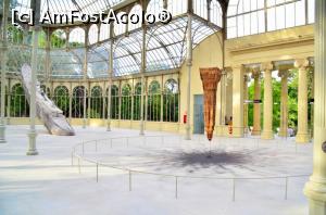 [P13] Museo Nacional Centro de Arte Reina Sofía - Palacio de Cristal. Expoziția temporară „Racheta și abisul” » foto by Dragoș_MD
 - 
<span class="allrVoted glyphicon glyphicon-heart hidden" id="av761309"></span>
<a class="m-l-10 hidden" id="sv761309" onclick="voting_Foto_DelVot(,761309,19792)" role="button">șterge vot <span class="glyphicon glyphicon-remove"></span></a>
<a id="v9761309" class=" c-red"  onclick="voting_Foto_SetVot(761309)" role="button"><span class="glyphicon glyphicon-heart-empty"></span> <b>LIKE</b> = Votează poza</a> <img class="hidden"  id="f761309W9" src="/imagini/loader.gif" border="0" /><span class="AjErrMes hidden" id="e761309ErM"></span>